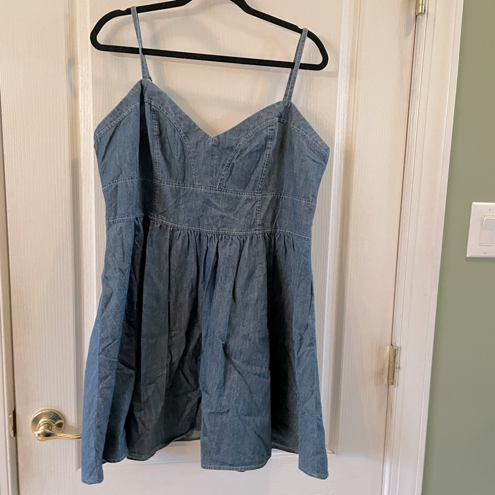 Express Denim Dress